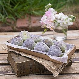 玩法元素大融合 回合制战斗新作《太空监狱》公布